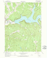 Download a high-resolution, GPS-compatible USGS topo map for Downsville, NY (1988 edition)
