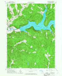 Download a high-resolution, GPS-compatible USGS topo map for Downsville, NY (1967 edition)