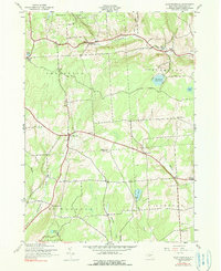 Download a high-resolution, GPS-compatible USGS topo map for East Pharsalia, NY (1990 edition)