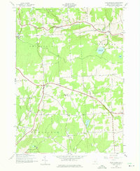 Download a high-resolution, GPS-compatible USGS topo map for East Pharsalia, NY (1975 edition)