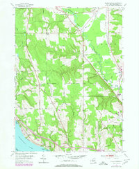 Download a high-resolution, GPS-compatible USGS topo map for Ellery Center, NY (1980 edition)