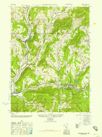 Download a high-resolution, GPS-compatible USGS topo map for Fleischmanns, NY (1946 edition)