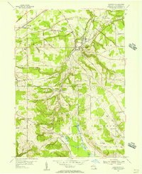 Download a high-resolution, GPS-compatible USGS topo map for Forestville, NY (1956 edition)