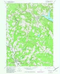 Download a high-resolution, GPS-compatible USGS topo map for Grahamsville, NY (1982 edition)