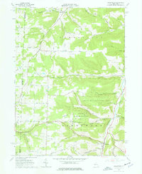 Download a high-resolution, GPS-compatible USGS topo map for Greenwood, NY (1977 edition)