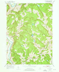 Download a high-resolution, GPS-compatible USGS topo map for Gulf Summit, NY (1976 edition)