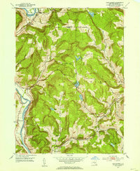 Download a high-resolution, GPS-compatible USGS topo map for Gulf Summit, NY (1954 edition)