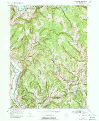 Download a high-resolution, GPS-compatible USGS topo map for Gulf Summit, NY (1988 edition)