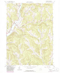 Download a high-resolution, GPS-compatible USGS topo map for Hamden, NY (1988 edition)