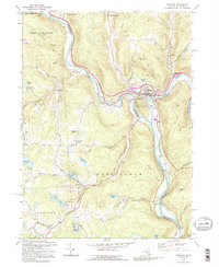Download a high-resolution, GPS-compatible USGS topo map for Hancock, NY (1995 edition)