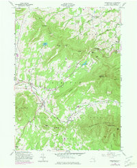 Download a high-resolution, GPS-compatible USGS topo map for Hensonville, NY (1981 edition)