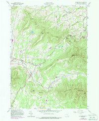 Download a high-resolution, GPS-compatible USGS topo map for Hensonville, NY (1986 edition)