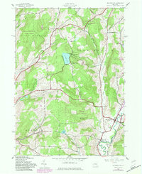 Download a high-resolution, GPS-compatible USGS topo map for Holmesville, NY (1983 edition)