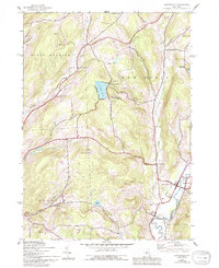 Download a high-resolution, GPS-compatible USGS topo map for Holmesville, NY (1994 edition)