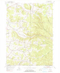Download a high-resolution, GPS-compatible USGS topo map for Ivory, NY (1991 edition)