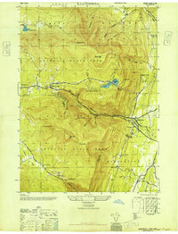 preview thumbnail of historical topo map of Greene County, NY in 1946