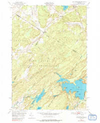Download a high-resolution, GPS-compatible USGS topo map for Lake Bonaparte, NY (1991 edition)