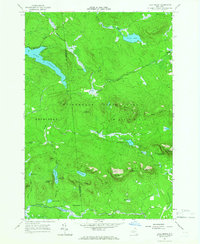 Download a high-resolution, GPS-compatible USGS topo map for Lake Ozonia, NY (1966 edition)