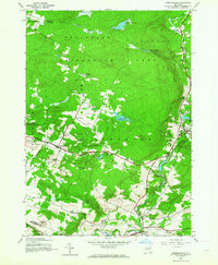 Download a high-resolution, GPS-compatible USGS topo map for Lassellsville, NY (1964 edition)