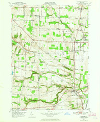 Download a high-resolution, GPS-compatible USGS topo map for Leicester, NY (1965 edition)