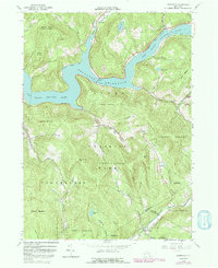 Download a high-resolution, GPS-compatible USGS topo map for Lewbeach, NY (1992 edition)