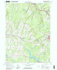 Download a high-resolution, GPS-compatible USGS topo map for Liberty West, NY (1989 edition)
