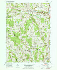 Download a high-resolution, GPS-compatible USGS topo map for Lisle, NY (1980 edition)