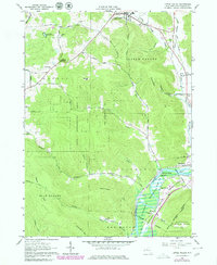 Download a high-resolution, GPS-compatible USGS topo map for Little Valley, NY (1980 edition)