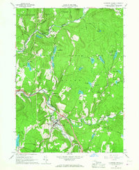 Download a high-resolution, GPS-compatible USGS topo map for Livingston Manor, NY (1967 edition)
