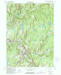 Download a high-resolution, GPS-compatible USGS topo map for Livingston Manor, NY (1989 edition)