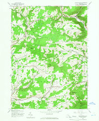 Download a high-resolution, GPS-compatible USGS topo map for Livingstonville, NY (1966 edition)