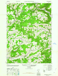 preview thumbnail of historical topo map of Schoharie County, NY in 1962