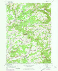 Download a high-resolution, GPS-compatible USGS topo map for Livingstonville, NY (1981 edition)