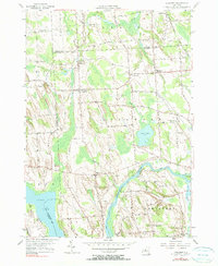 Download a high-resolution, GPS-compatible USGS topo map for Lysander, NY (1990 edition)