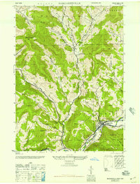 preview thumbnail of historical topo map of Margaretville, NY in 1946