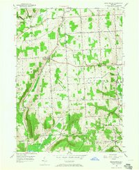 Download a high-resolution, GPS-compatible USGS topo map for Mecklenburg, NY (1965 edition)