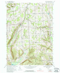 Download a high-resolution, GPS-compatible USGS topo map for Mecklenburg, NY (1988 edition)