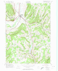 Download a high-resolution, GPS-compatible USGS topo map for Middleburgh, NY (1974 edition)
