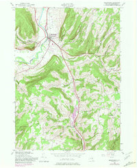 Download a high-resolution, GPS-compatible USGS topo map for Middleburgh, NY (1981 edition)