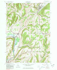Download a high-resolution, GPS-compatible USGS topo map for Naples, NY (1981 edition)