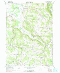 Download a high-resolution, GPS-compatible USGS topo map for New Albion, NY (1990 edition)