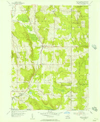 Download a high-resolution, GPS-compatible USGS topo map for North Clymer, NY (1957 edition)