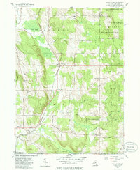Download a high-resolution, GPS-compatible USGS topo map for North Clymer, NY (1985 edition)