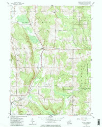 Download a high-resolution, GPS-compatible USGS topo map for North Clymer, NY (1985 edition)
