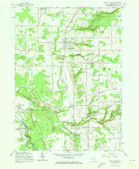 Download a high-resolution, GPS-compatible USGS topo map for North Collins, NY (1973 edition)