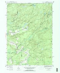 Download a high-resolution, GPS-compatible USGS topo map for North Wilmurt, NY (1965 edition)