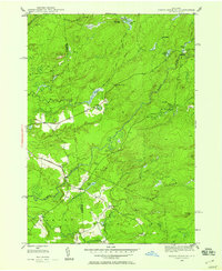 Download a high-resolution, GPS-compatible USGS topo map for North Wilmurt, NY (1958 edition)