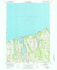 Download a high-resolution, GPS-compatible USGS topo map for North Wolcott, NY (1985 edition)
