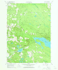 Download a high-resolution, GPS-compatible USGS topo map for Orwell, NY (1973 edition)