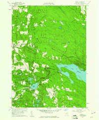Download a high-resolution, GPS-compatible USGS topo map for Orwell, NY (1960 edition)